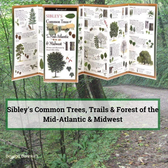 Sibley’s Common Trees of Trails & Forests of the Mid-Atlantic & Midwest.