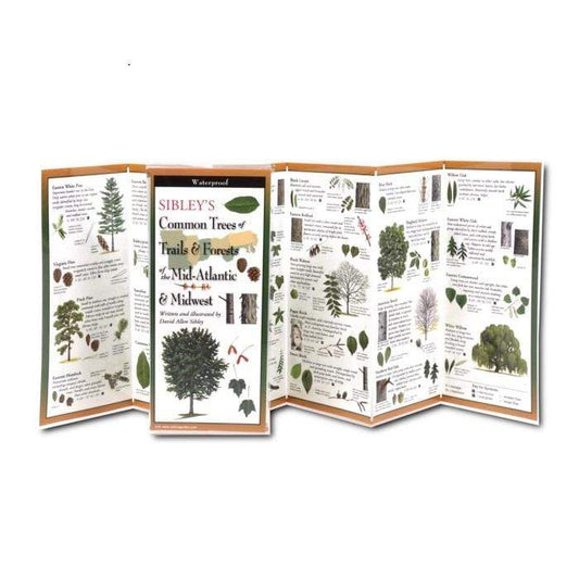 Sibley’s Common Trees of Trails & Forests of the Mid-Atlantic & Midwest.