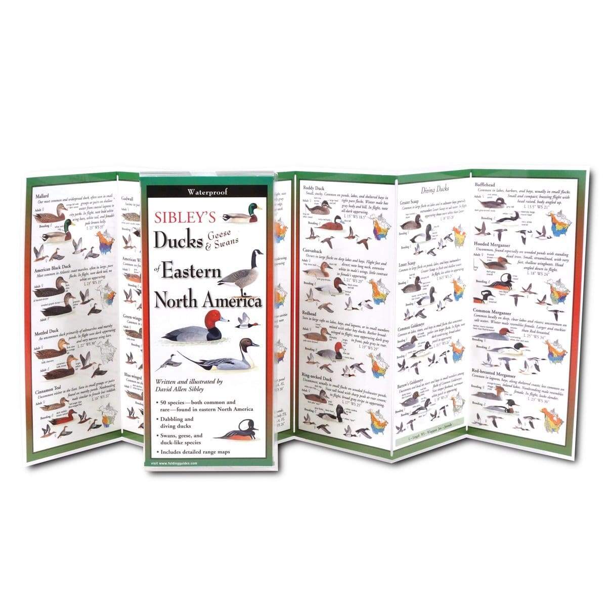 Sibley’s Ducks, Geese, & Swans of Eastern North America.