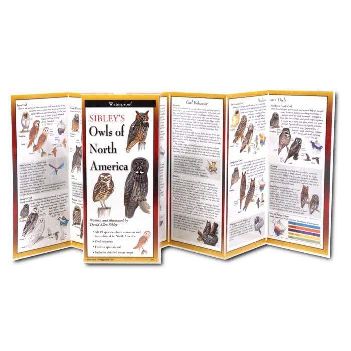 Sibley's Owls Of North America.