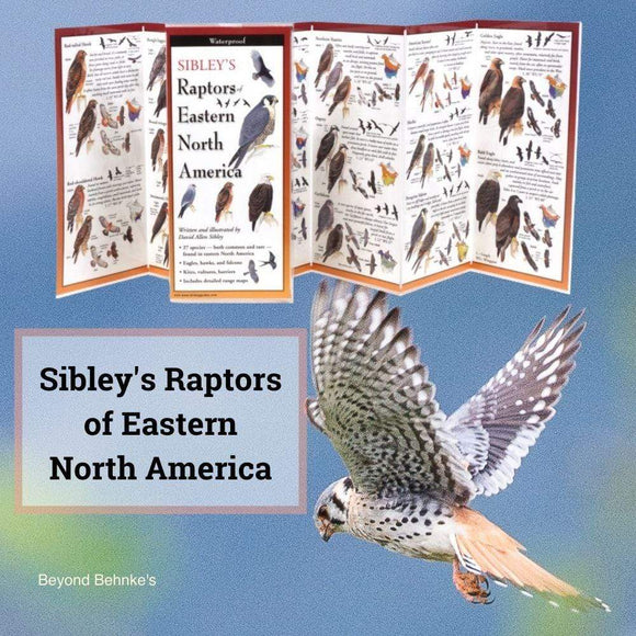 Sibley's Raptors of Eastern North America.