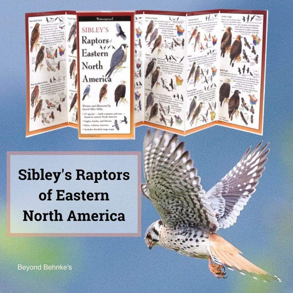Colorado Raptors Guide Sibley's Raptors of Eastern North America Guide