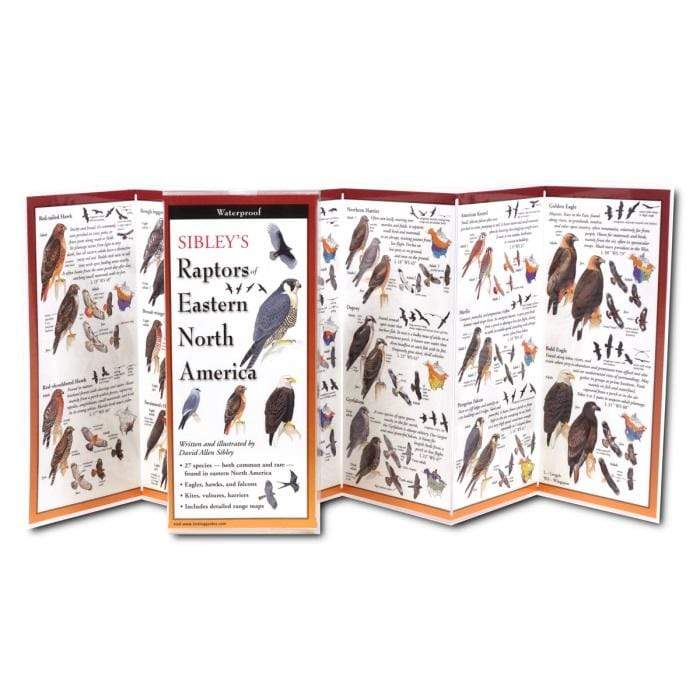 Sibley's Raptors of Eastern North America.
