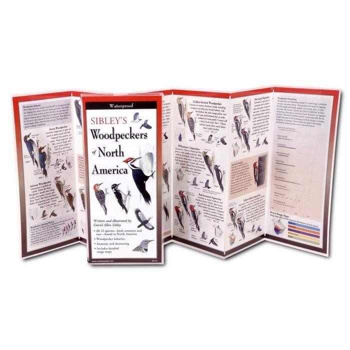 Sibley's Woodpeckers of North America.