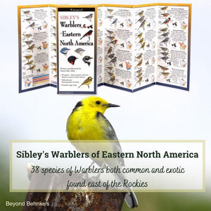 Warblers of Eastern North America.