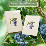 Blueberry Boxed Notes.