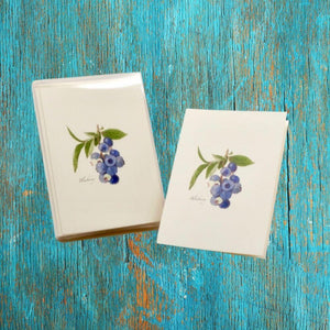 Blueberry Boxed Notes.