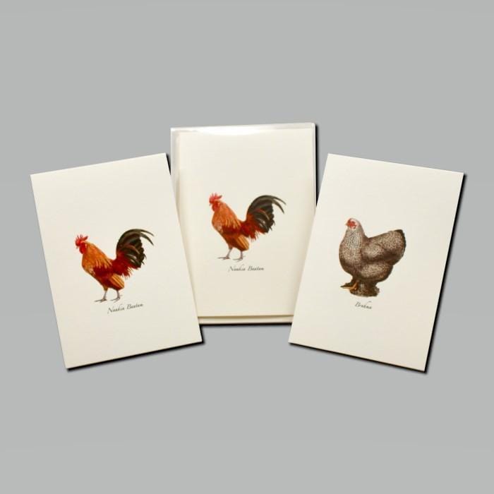 Chicken Assortment Boxed Notes.