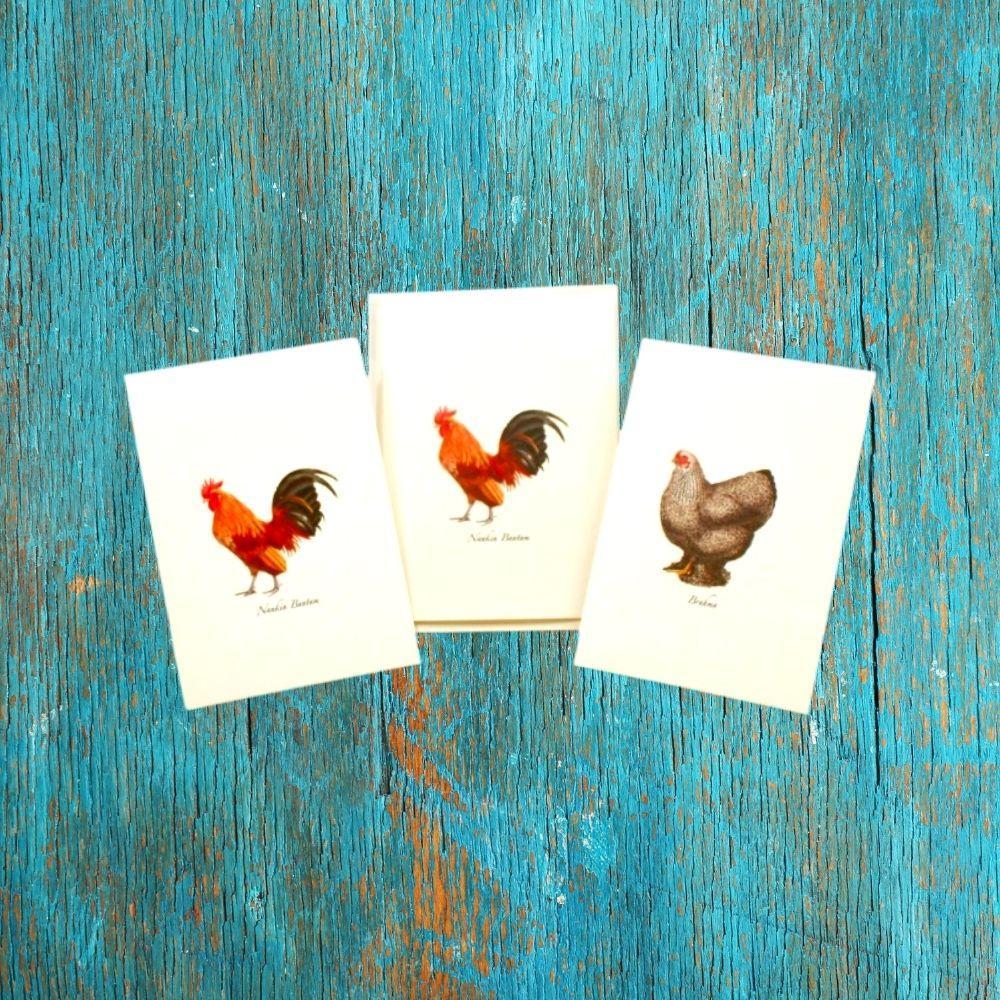 Chicken Assortment Boxed Notes.