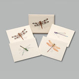 Dragonfly and Damselfly Assortment Boxed Notes.
