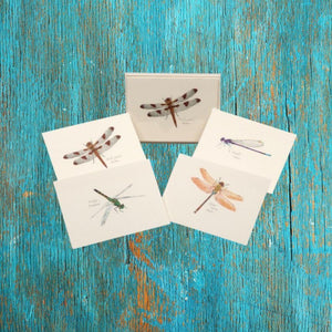 Dragonfly and Damselfly Assortment Boxed Notes.