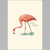 Flamingo Boxed Notes.