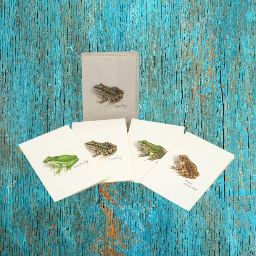 Frog & Toad Assortment Boxed Notes.