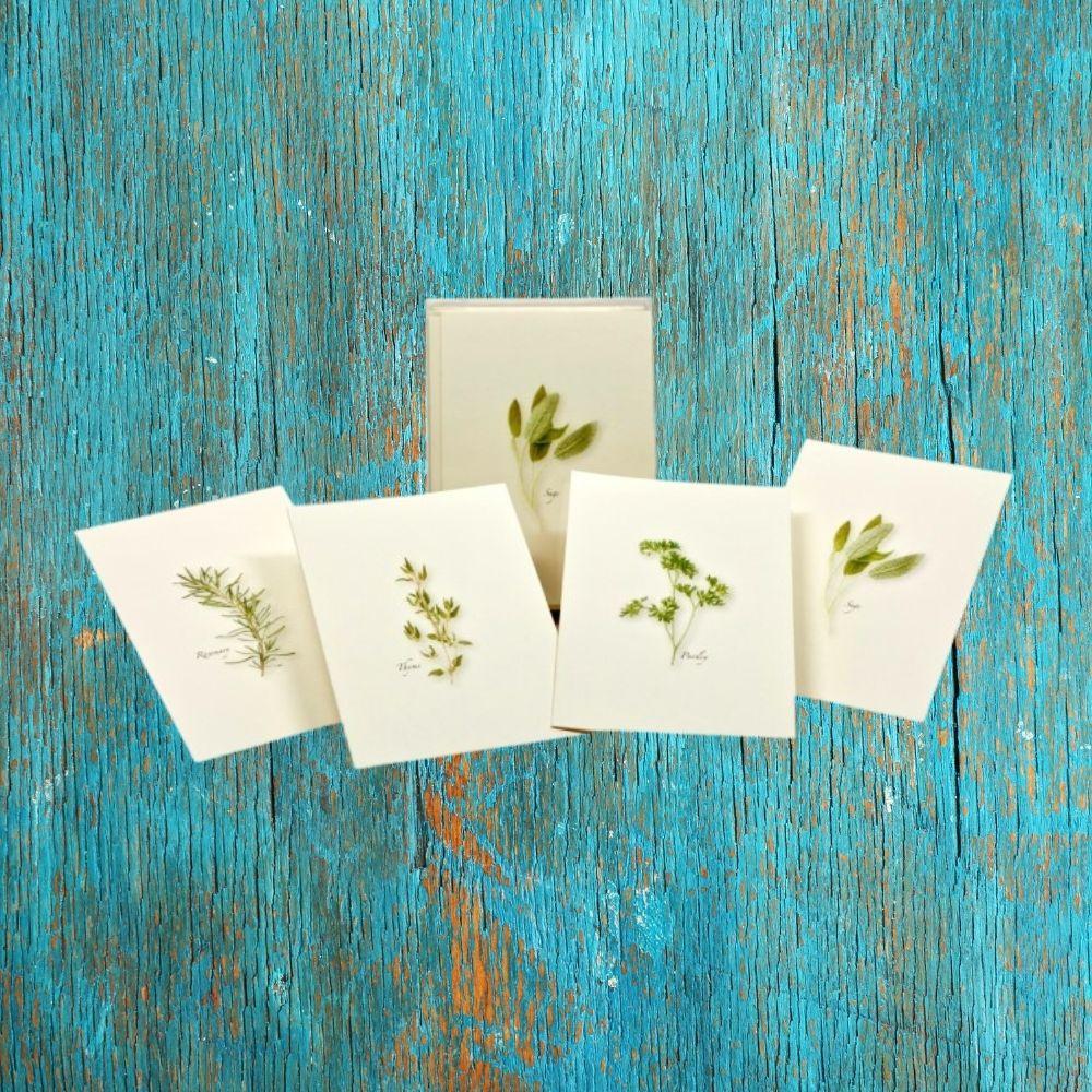 Boxed Nature Notecards