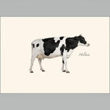 Holstein Boxed Notes.