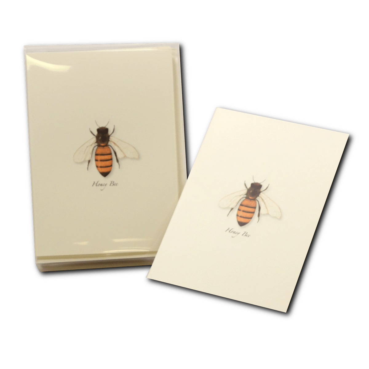 Honey Bee Boxed Notes.
