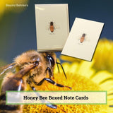 Honey Bee Boxed Notes.