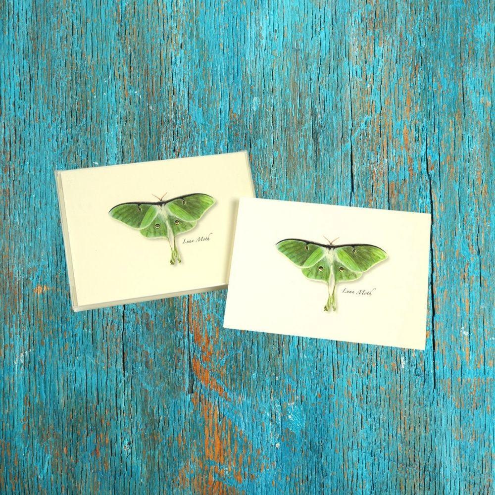 Luna Moth Boxed Notes.
