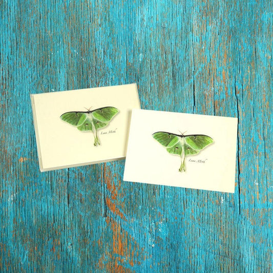 Luna Moth Boxed Notes.