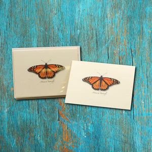 Monarch Butterfly Boxed Notes.