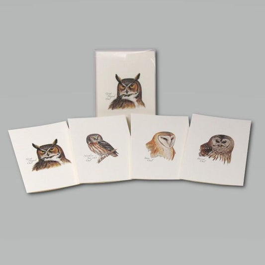 Peterson’s Owl Assortment Boxed Notes.