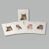 Peterson’s Owl Assortment Boxed Notes.