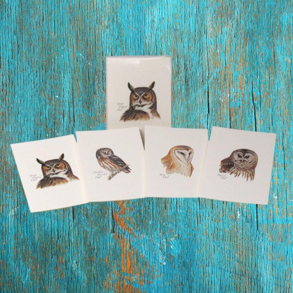 Peterson’s Owl Assortment Boxed Notes.