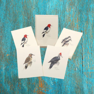 Peterson’s Woodpecker Assortment Boxed Notes.