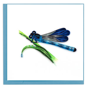 Quilled Blue Damselfly Greeting Card.