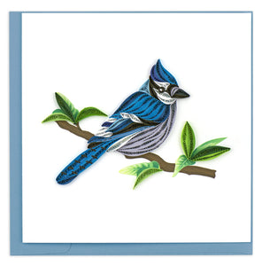 Quilled Blue Jay Greeting Card.