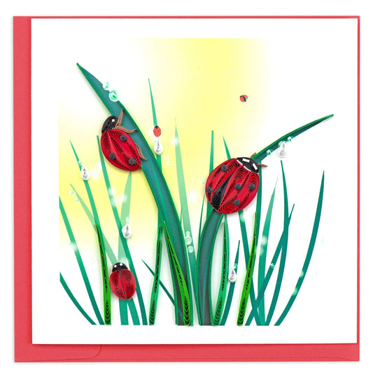 Quilled Ladybug Card.
