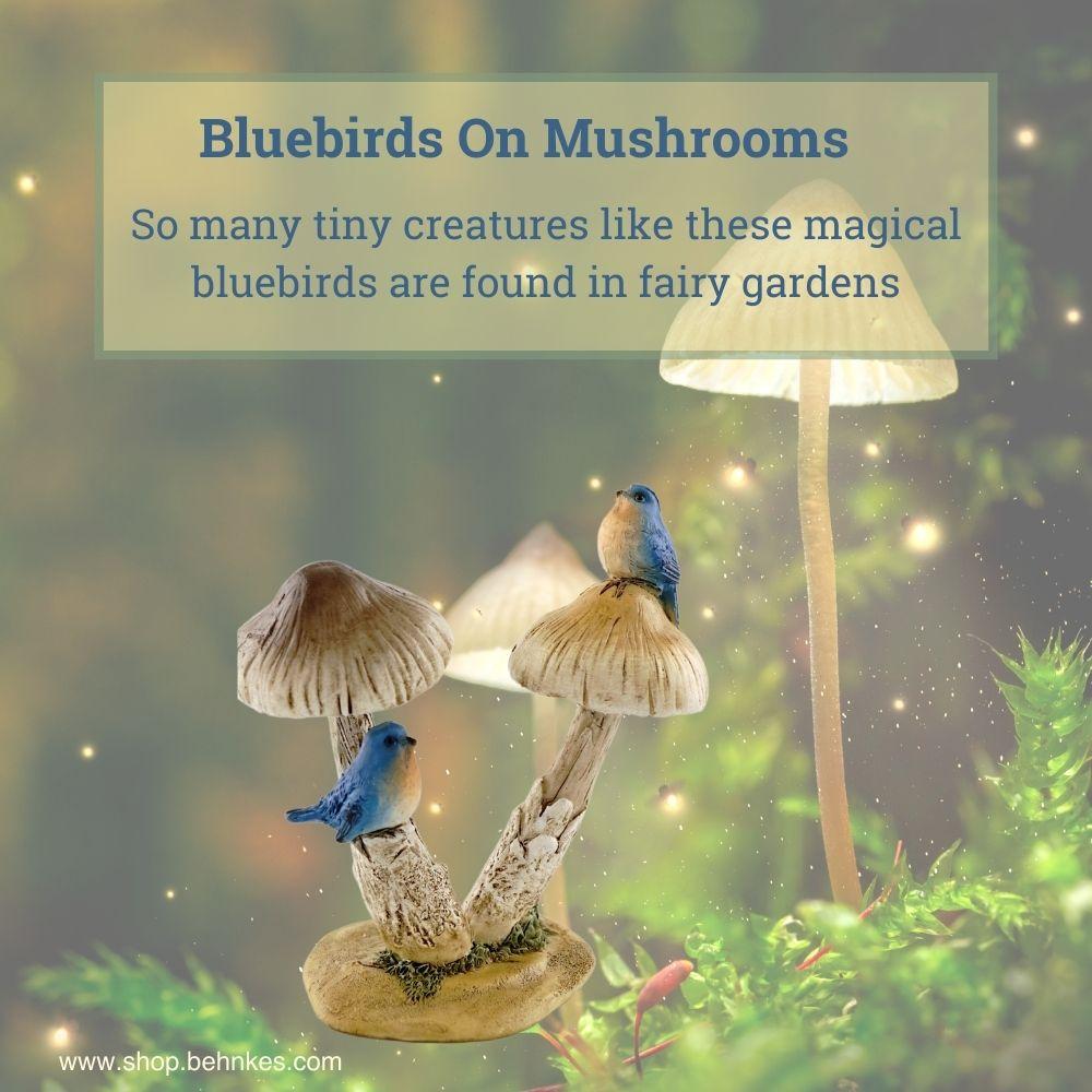 Bluebirds On Mushroom.