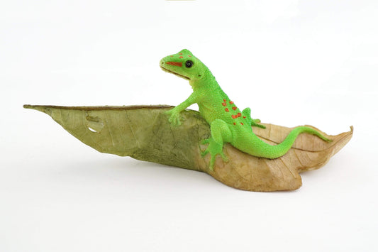 Day Gecko On Leaf.