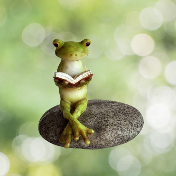 Frog Reading On A Stone.