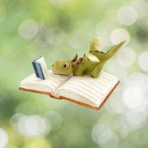 Mini Dragon Reading.