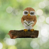 Owl Reading On Tree Log.