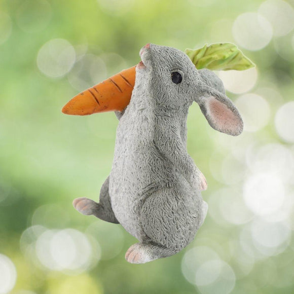 Rabbit Holding A Carrot.