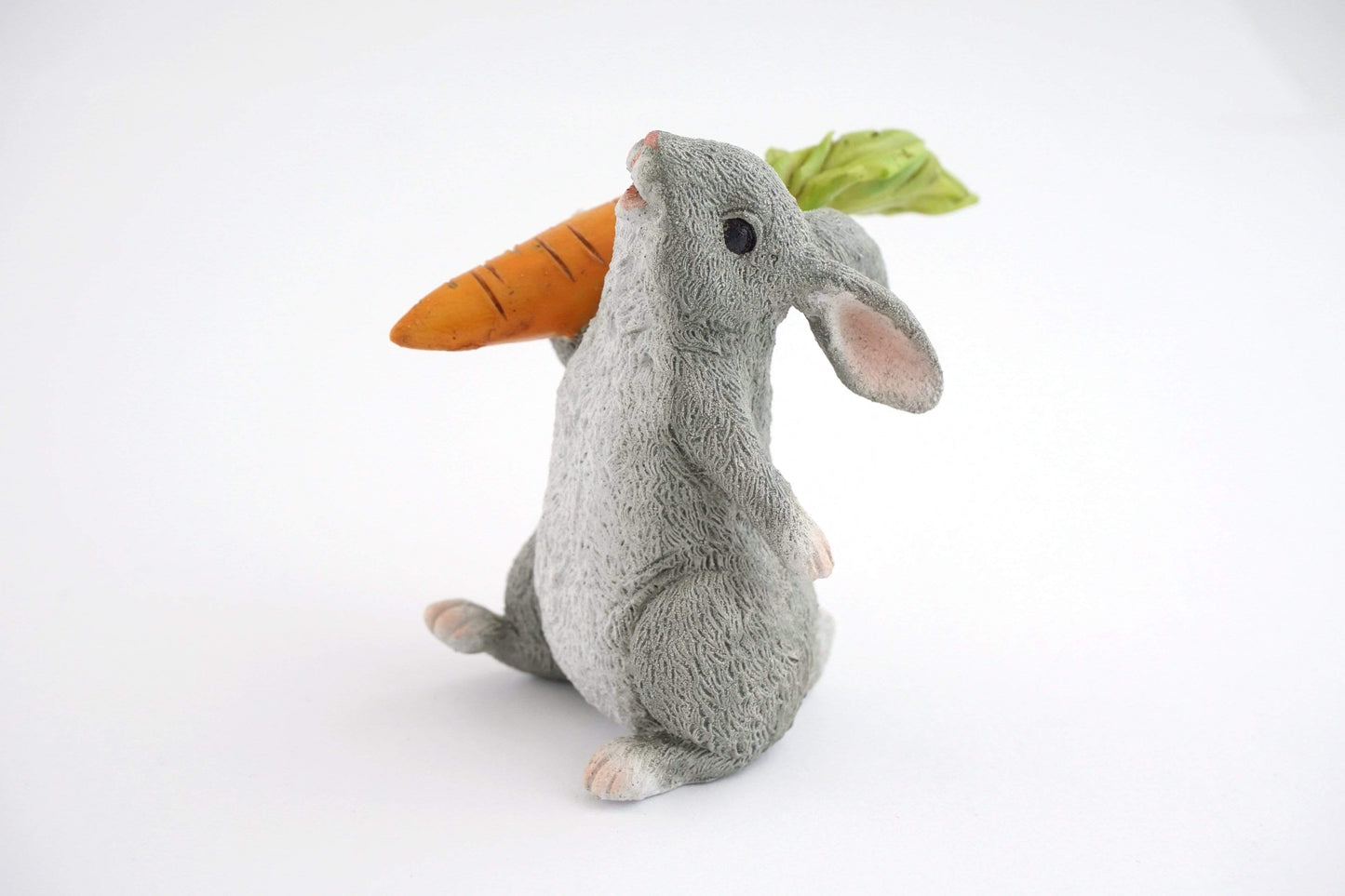 Rabbit Holding A Carrot.