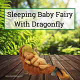 Sleeping Fairy Baby with a Dragonfly.