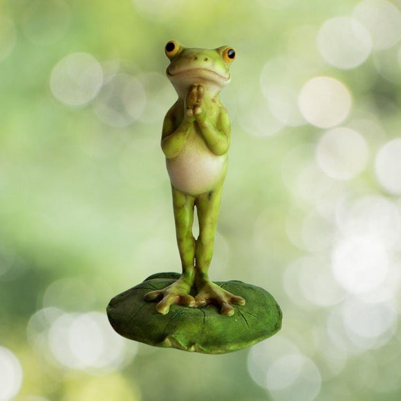 Yoga Frog On Lotus Leaf Namaste.